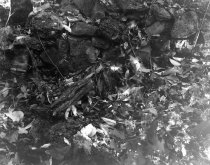 Kernstown battlefield